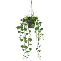 KUNSTPFLANZE Efeu 60 cm  - Schwarz/Grün, Basics, Kunststoff (60cm) - P & B