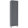 GARDEROBENSCHRANK  in 52/192/36 cm  - Grau, Design, Holzwerkstoff/Metall (52/192/36cm) - Dieter Knoll