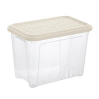 BOX S VÍKEM 4,6l l - světle hnědá, Basics, plast (26.2/17/18.8cm)