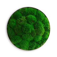 MOOSBILD Stylegreen  - Grün, Basics, Naturmaterialien/Metall (34/8cm)