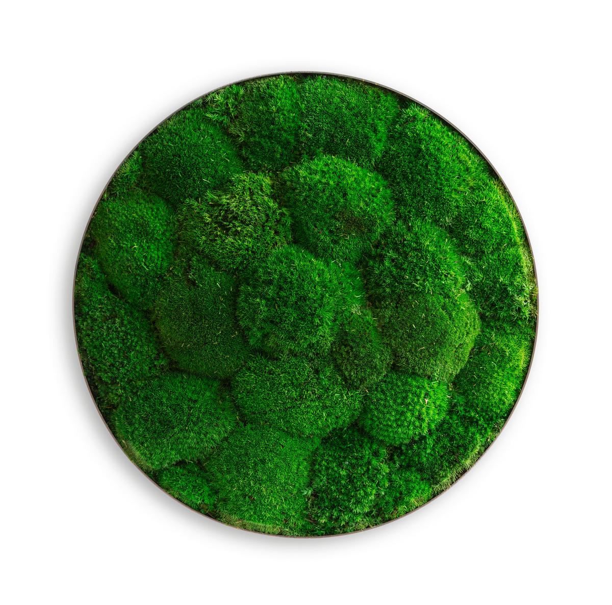MOOSBILD Stylegreen  - Grün, Basics, Naturmaterialien/Metall (34/8cm)