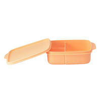 LUNCHBOX - Hellrosa/Orange, Basics, Kunststoff (0,55l) - Fackelmann