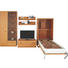 WOHNWAND in Buchefarben - Buchefarben/Braun, KONVENTIONELL, Glas/Holzwerkstoff (369/229,9/60cm) WOHNWAND in Buchefarben - Buchefarben/Braun, KONVENTIONELL, Glas/Holzwerkstoff (369/229,9/60cm)