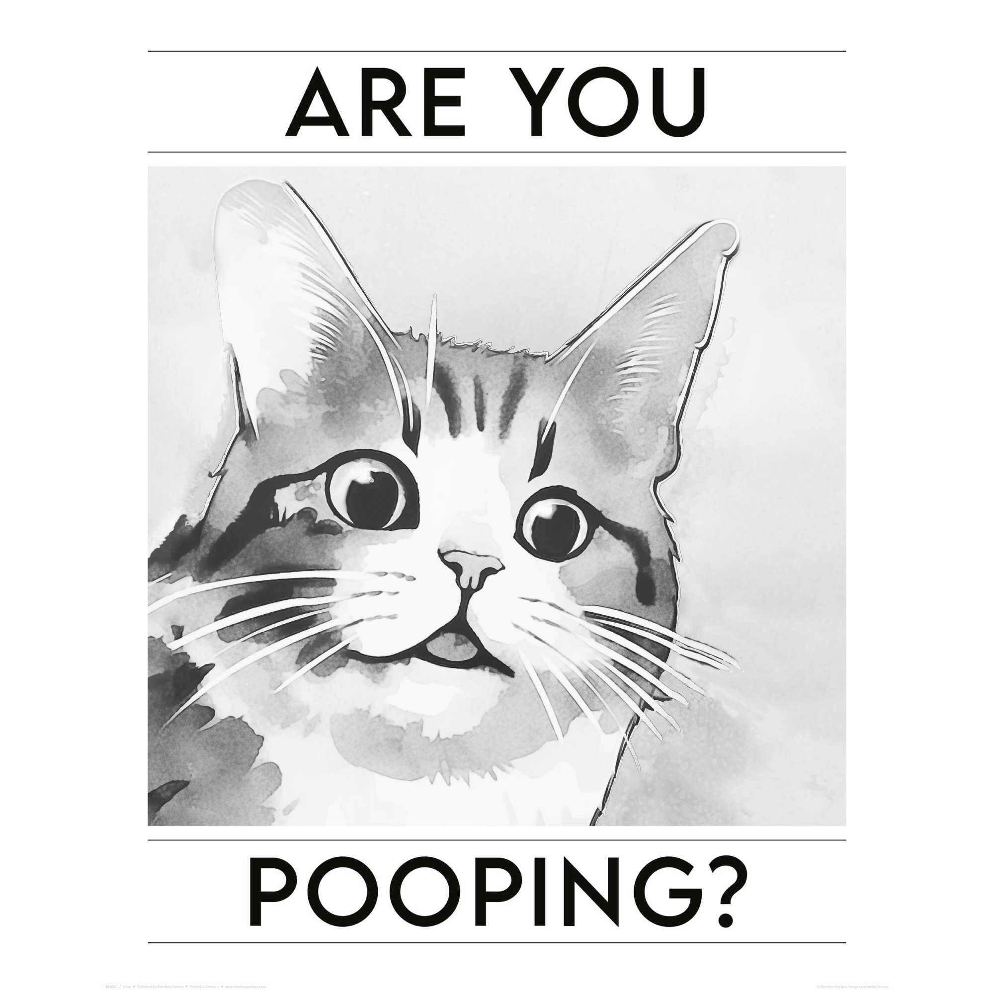 POSTER 40/50 cm  - Multicolor, LIFESTYLE, Papier (40/50cm) - Reinders!