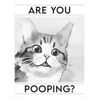 POSTER 40/50 cm  - Multicolor, LIFESTYLE, Papier (40/50cm) - Reinders!