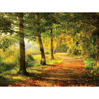 OBRAZ NA PLÁTNĚ, stromy, 30/40 cm  - vícebarevná, Natur, dřevo/papír (30/40cm)