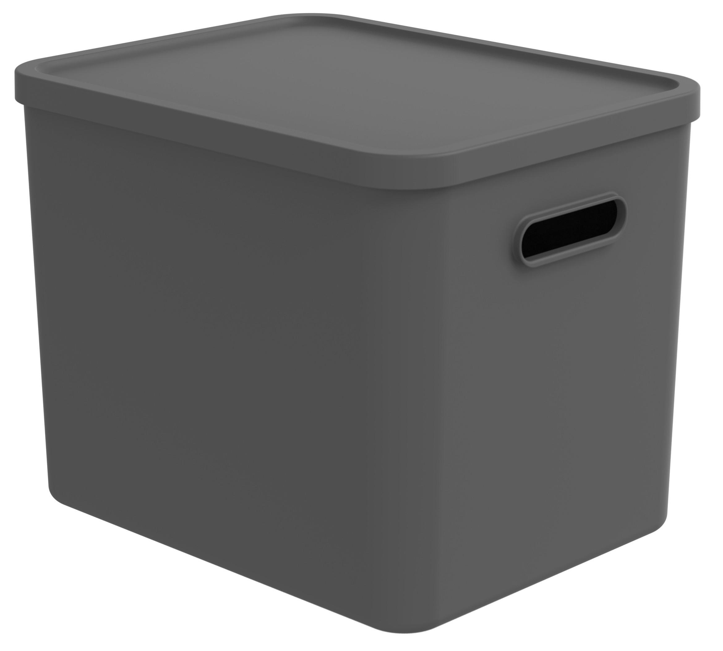 AUFBEWAHRUNGSBOX Albula  - Schwarz, KONVENTIONELL, Kunststoff (37/29/29,5cm) - Rotho