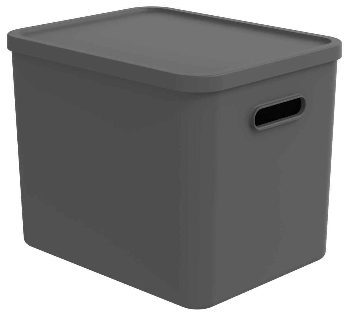 AUFBEWAHRUNGSBOX    37/29/29,5 cm  - Schwarz, KONVENTIONELL, Kunststoff (37/29/29,5cm) - Rotho