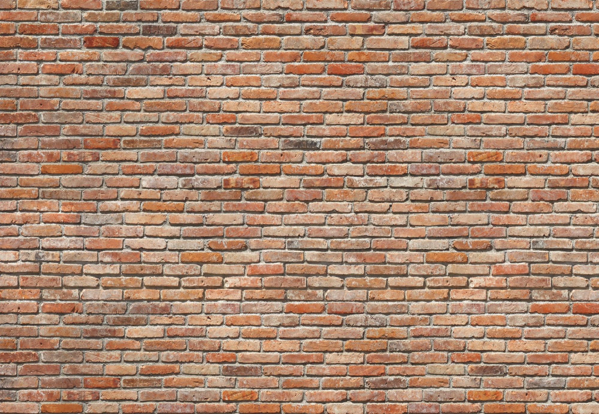FOTOTAPETE Backstein  - Terracotta, KONVENTIONELL, Papier (368/254cm) - Komar