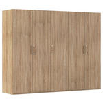 DREHTÜRENSCHRANK 251/197/60 cm 5-türig Sonoma Eiche  - Silberfarben/Sonoma Eiche, Design, Holzwerkstoff/Kunststoff (251/197/60cm) - Novel
