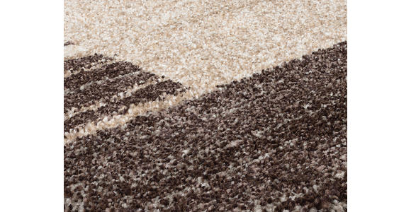 WEBTEPPICH 240/340 cm Palazzo Lobo Braun, Beige  - Beige/Braun, KONVENTIONELL, Textil (240/340cm) - Novel