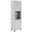 VITRINE Grau, Hellgrau 60/203,5/41,5 cm - Hellgrau/Schwarz, Design, Glas/Holzwerkstoff (60/203,5/41,5cm) - Hom`in