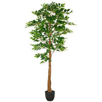 FICUS BENJAMINA Ficus Benjamina 180 cm  - Schwarz/Braun, Basics, Kunststoff (180cm) - P & B