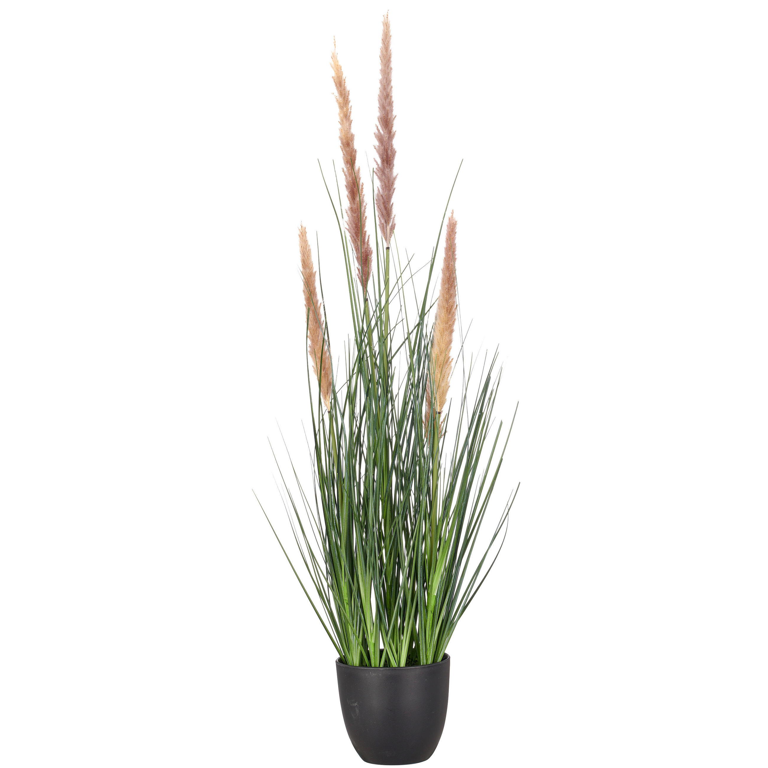 KUNSTPFLANZE Grasbündel 75 cm  - Schwarz/Grün, Basics, Kunststoff (75cm)