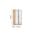 DREHTÜRENSCHRANK 101/197/60 cm 2-türig Sonoma Eiche  - Silberfarben/Sonoma Eiche, Design, Glas/Holzwerkstoff (101/197/60cm) - Novel