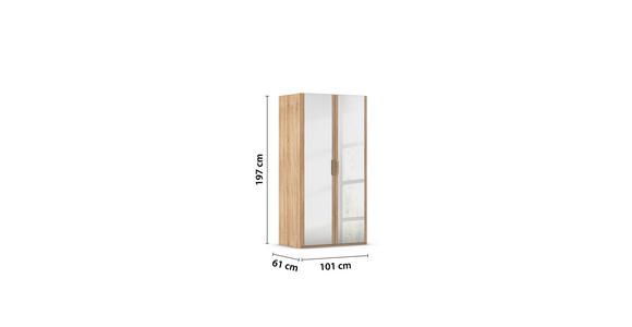 DREHTÜRENSCHRANK 101/197/60 cm 2-türig Sonoma Eiche - Silberfarben/Sonoma Eiche, Design, Glas/Holzwerkstoff (101/197/60cm) - Novel