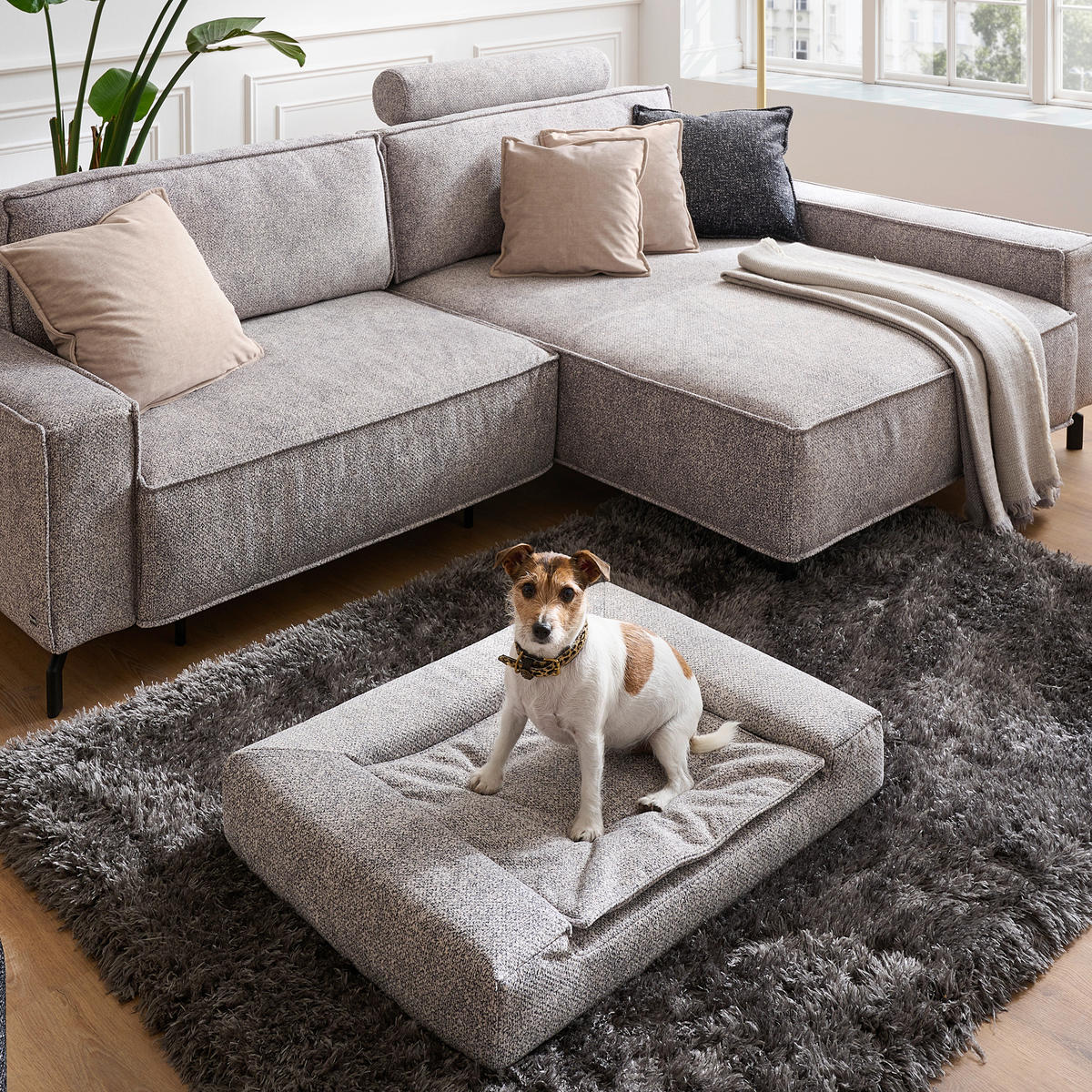 HUNDEBETT - Hellgrau, KONVENTIONELL, Textil (80/15/60cm) - Sedda