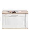 GARDEROBENBANK  in 76/50/38 cm  - Silberfarben/Lärchefarben, Design, Kunststoff (76/50/38cm) - Xora