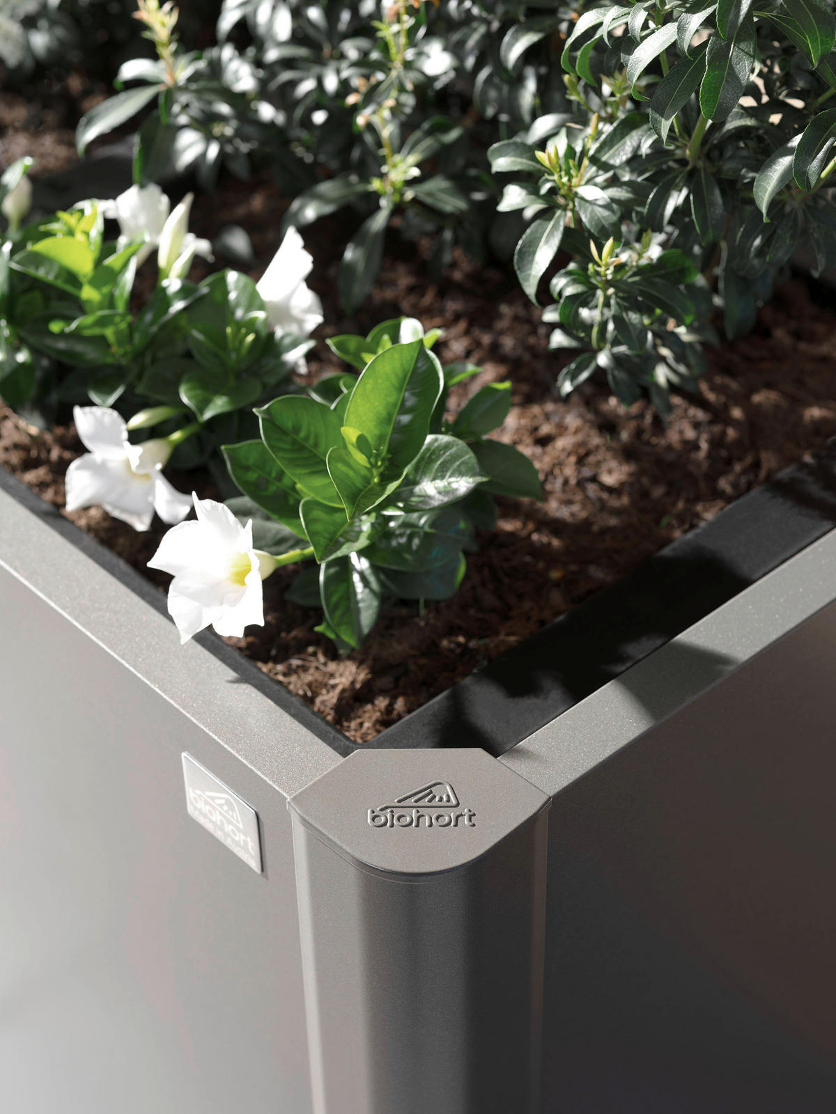 PFLANZEINSATZ Stück ohne Beet 50/50/18 cm  - Schwarz, Basics, Kunststoff (50/50/18cm) - Biohort