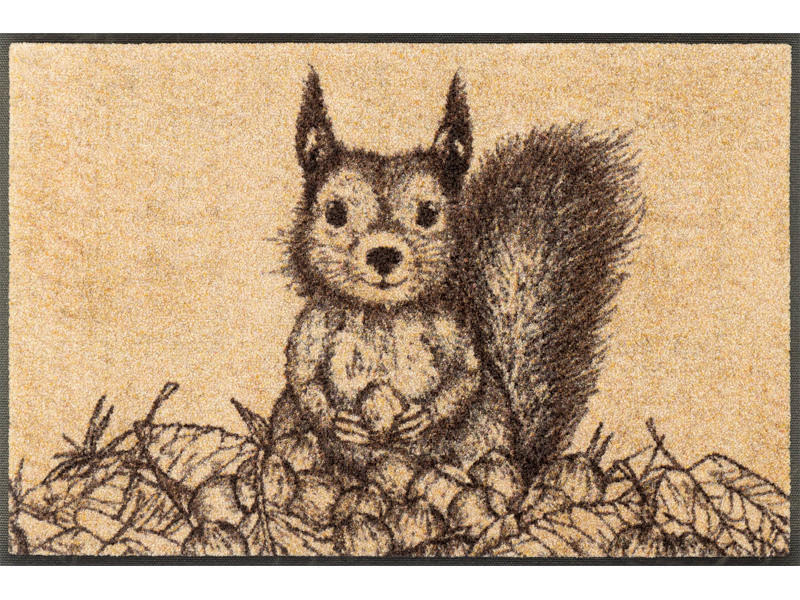 DVEŘNÍ ROHOŽKA, 50/75 cm vícebarevná