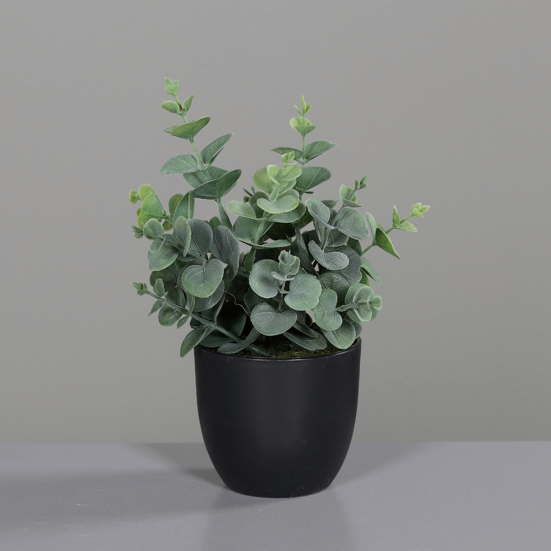 KUNSTPFLANZE Eukalyptus 20 cm  - Schwarz/Grün, Basics, Kunststoff (20cm)