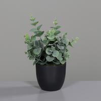 KUNSTPFLANZE Eukalyptus 20 cm  - Schwarz/Grün, Basics, Kunststoff (20cm)