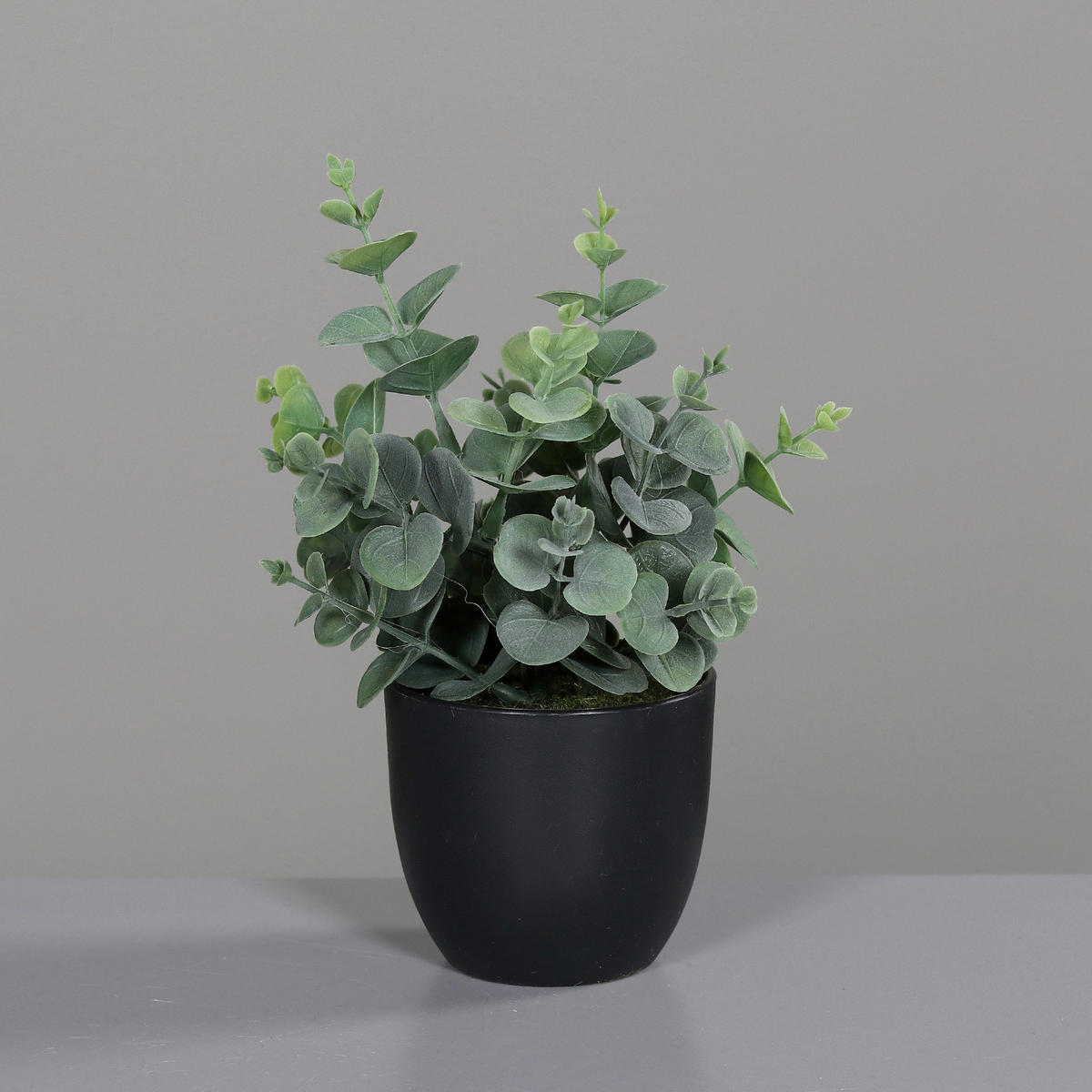 KUNSTPFLANZE Eukalyptus 20 cm  - Schwarz/Grün, Basics, Kunststoff (20cm)