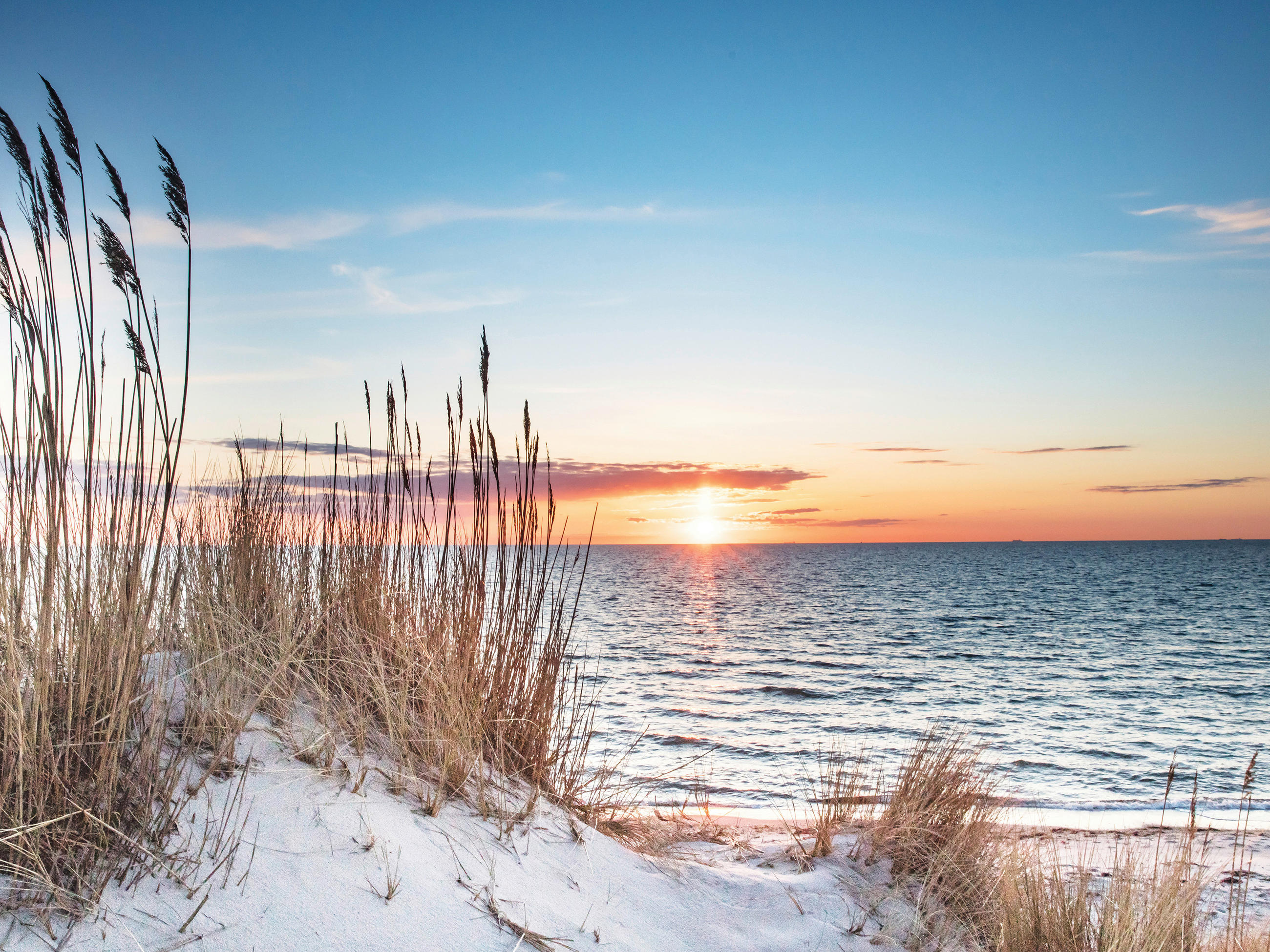 LEINWANDBILD Strand & Meer 60/80 cm  - Multicolor, Natur, Holz/Papier (60/80cm) - Euroart