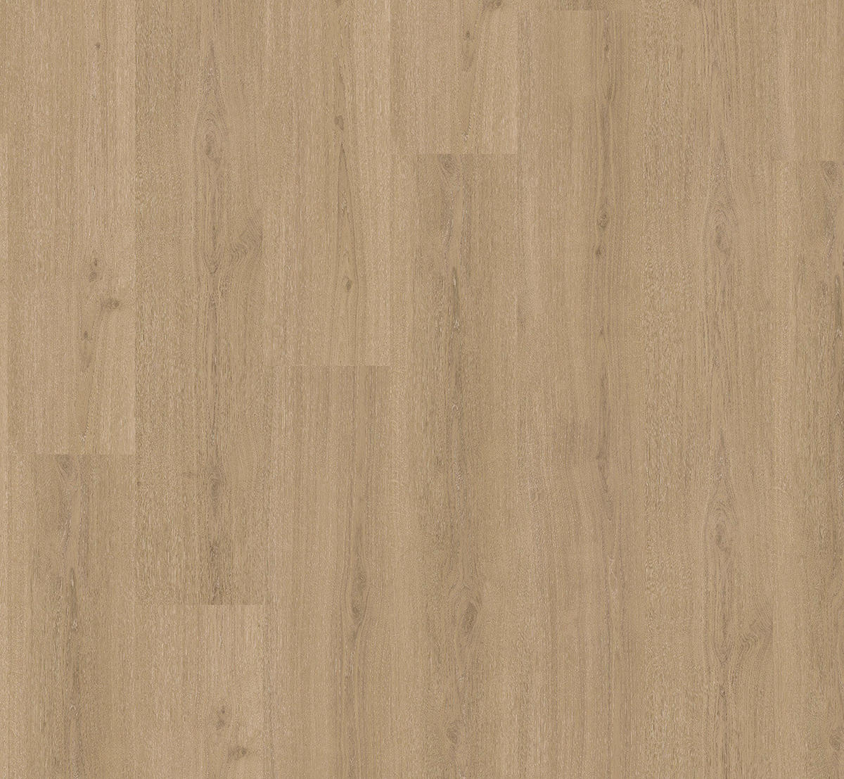VINYLBODEN Vinyl Basic 30  per  m² - Eichefarben, Basics, Holzwerkstoff (120.7/21.6/0.94cm) - Parador