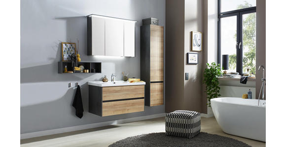 HOCHSCHRANK 37/168/33 cm - Dunkelgrau/Eichefarben, Design, Glas/Holzwerkstoff (37/168/33cm) - Dieter Knoll