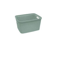 ÚLOŽNÝ BOX, plast - zelená, Basics, plast (21,5/27/15cm) - Homeware
