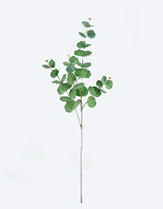 MŰNÖVÉNY - zöld, Basics, műanyag