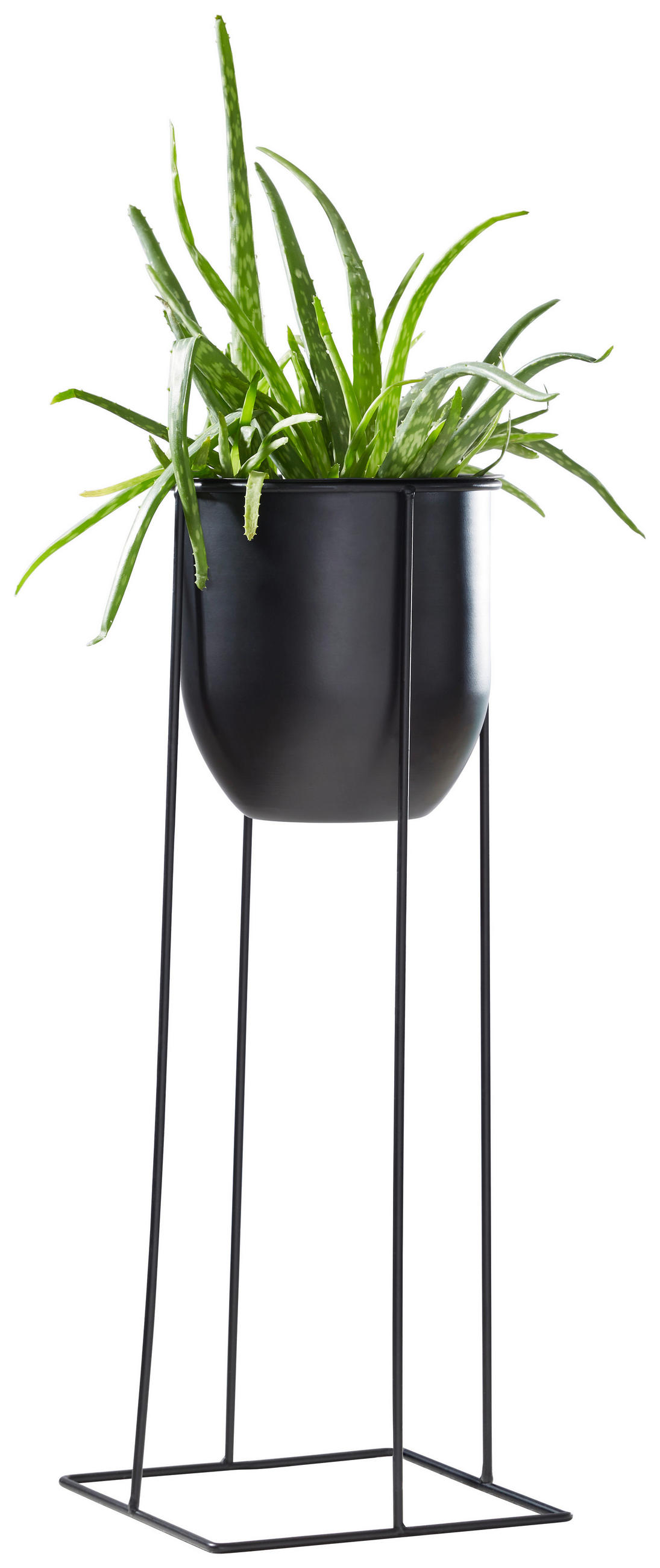 BLUMENTOPF   - Schwarz, Basics, Metall (19/50cm) - Ambia Home