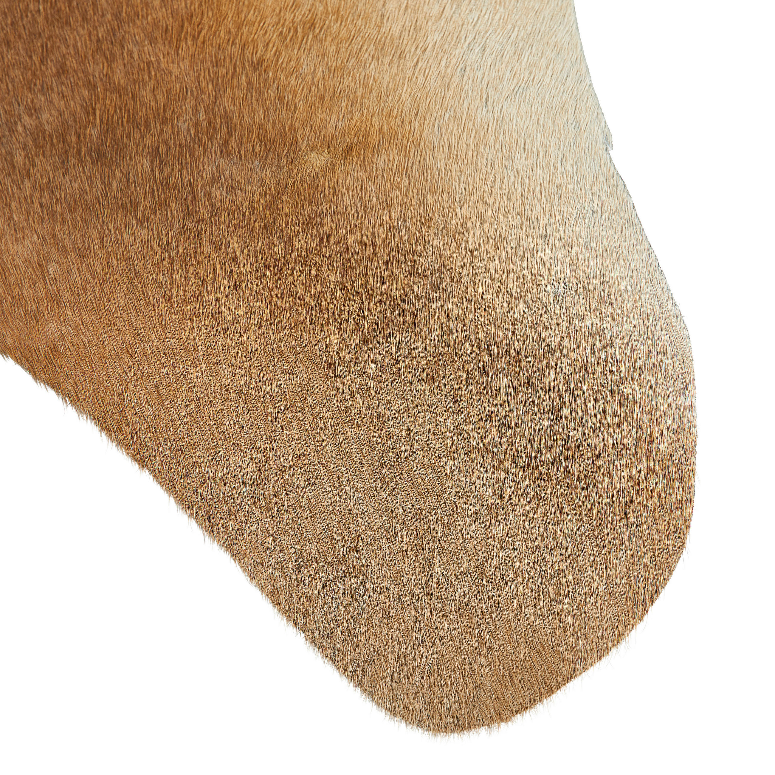 RINDERFELL 160/250 cm Braun  - Braun, Basics, Leder/Fell (160/250cm) - Linea Natura