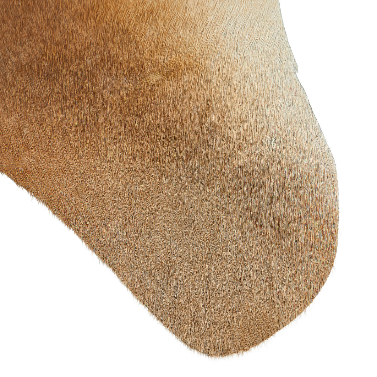 RINDERFELL 160/250 cm Braun  - Braun, Basics, Leder/Fell (160/250cm) - Linea Natura