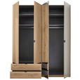 DREHTÜRENSCHRANK 180/225,5/57 cm 4-türig Eichefarben  - Eichefarben/Schwarz, KONVENTIONELL, Glas/Holzwerkstoff (180/225,5/57cm) - Xora