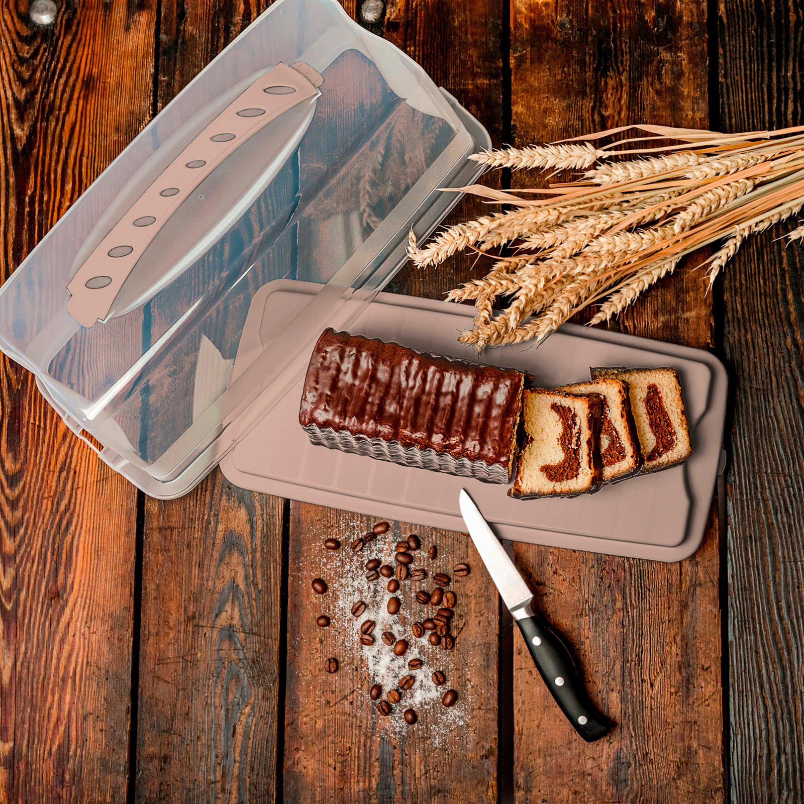 KUCHENTRANSPORTBOX - Klar/Hellrosa, KONVENTIONELL, Kunststoff (36/16,5/16,5cm) - Rotho