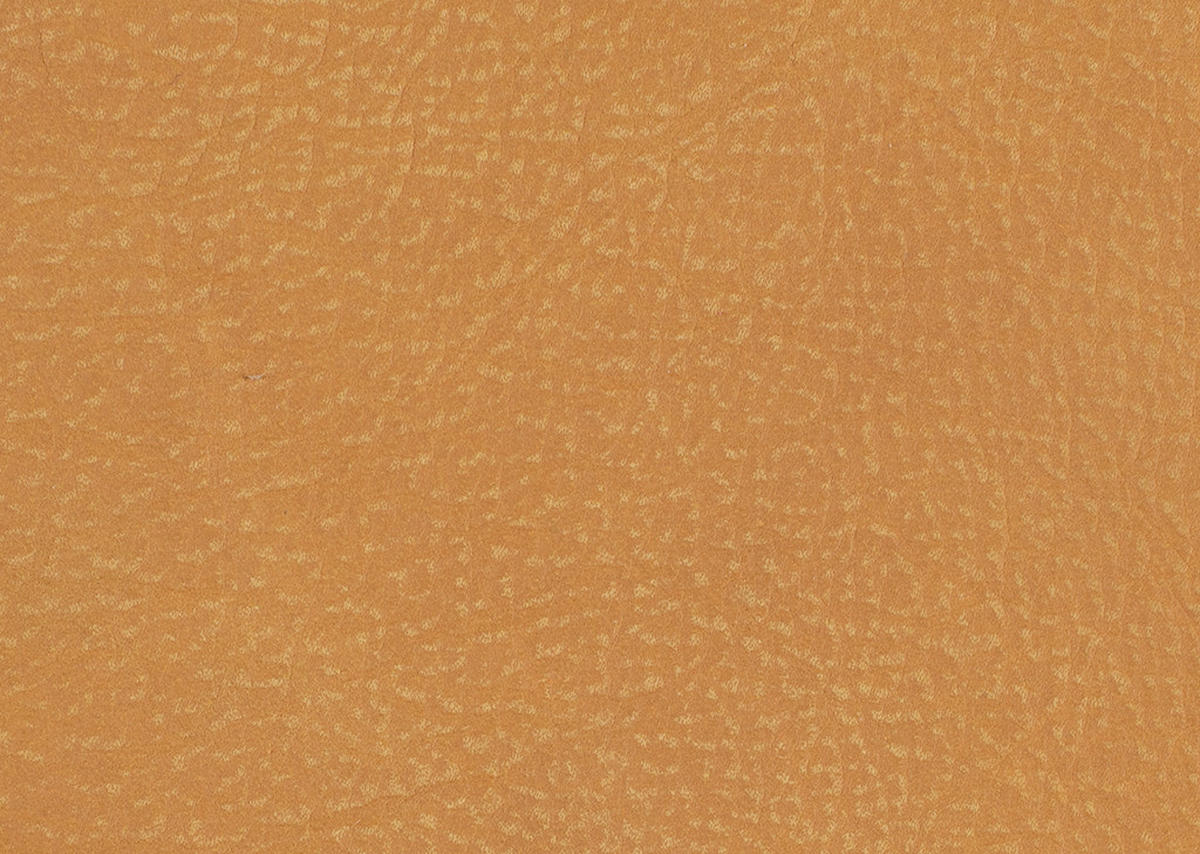 ARMLEHNSTUHL  in Echtleder naturbelassen  - Wildeiche/Orange, Design, Leder/Holz (63/74-90/57-73cm) - Koinor