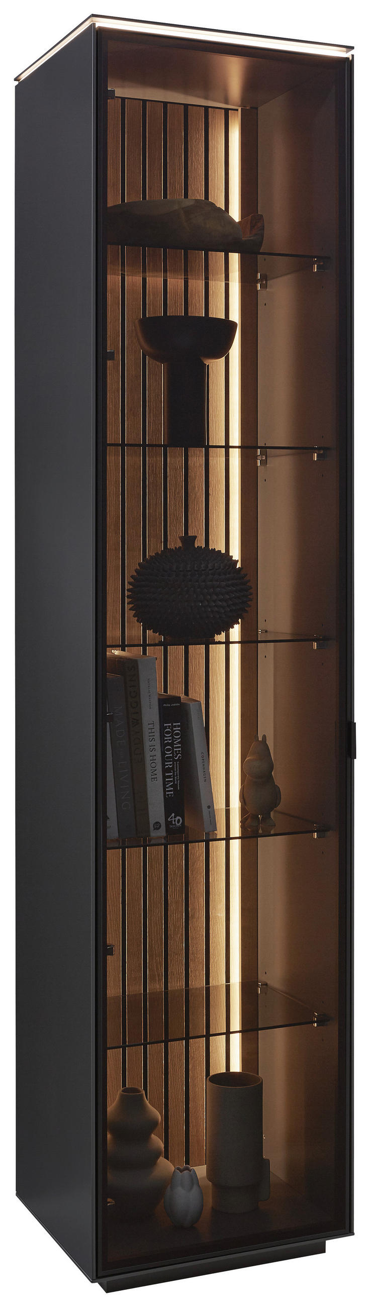 VITRINE Anthrazit  45,8/198,6/40 cm  - Anthrazit/Schwarz, Design, Glas/Holz (45,8/198,6/40cm) - Dieter Knoll