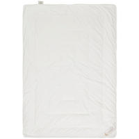 GANZJAHRESDECKE DUETT  140/200 cm 60 % Lyocell (TENCEL™), 20 % Wolle (Schurwolle), 20 % Kapok  - Champagner, Basics, Naturmaterialien/Textil (140/200cm) - Schlafmond