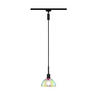SCHIENENSYSTEM-HÄNGELEUCHTE - Multicolor, Design, Glas/Metall (14/140cm) - Paulmann