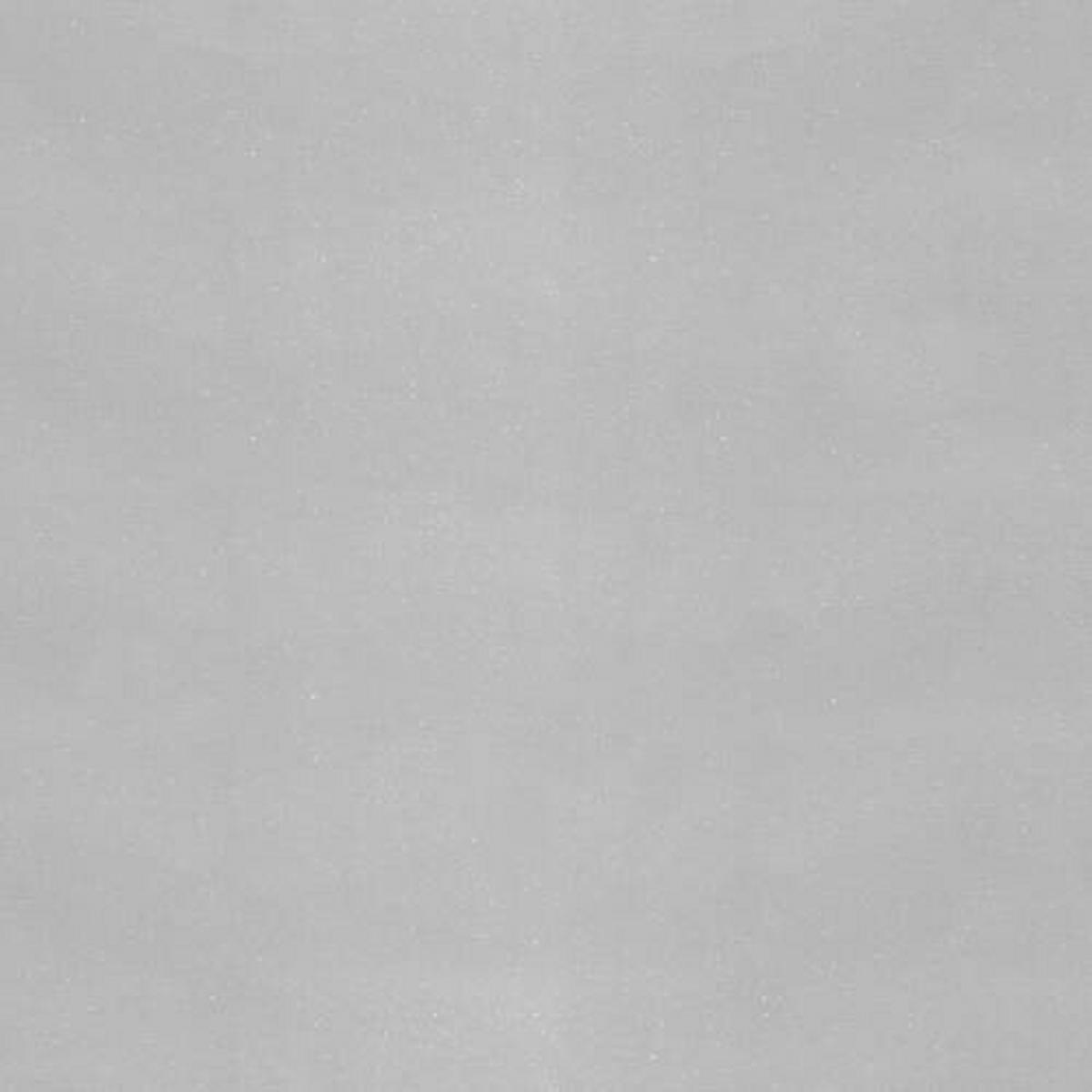 VLIESTAPETE  - Hellgrau, Basics, Papier/Kunststoff (52/1000cm) - Xora