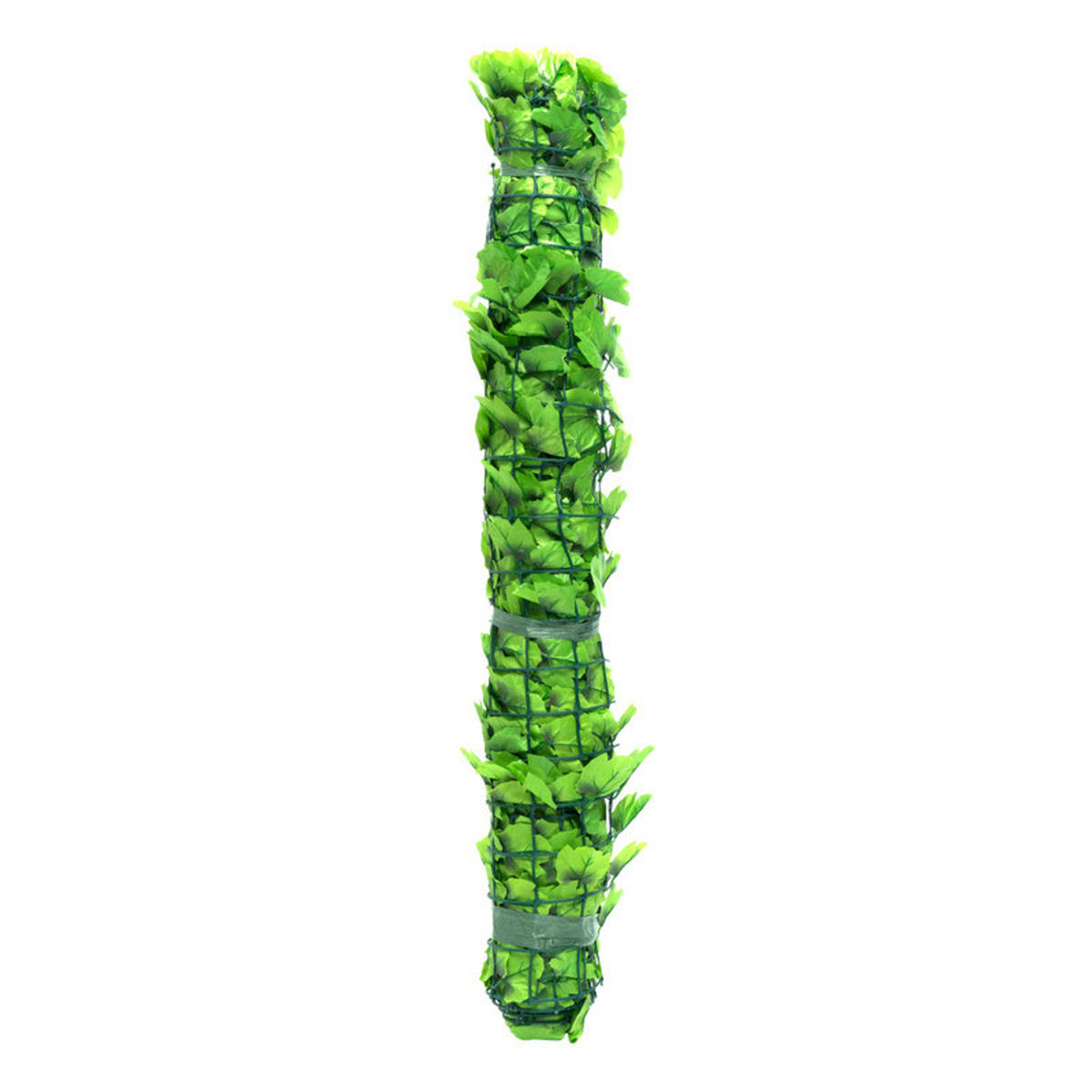 CLONA – ŽIVÝ PLOT 300/150 cm  - zelená, Basics, plast (300/150cm)