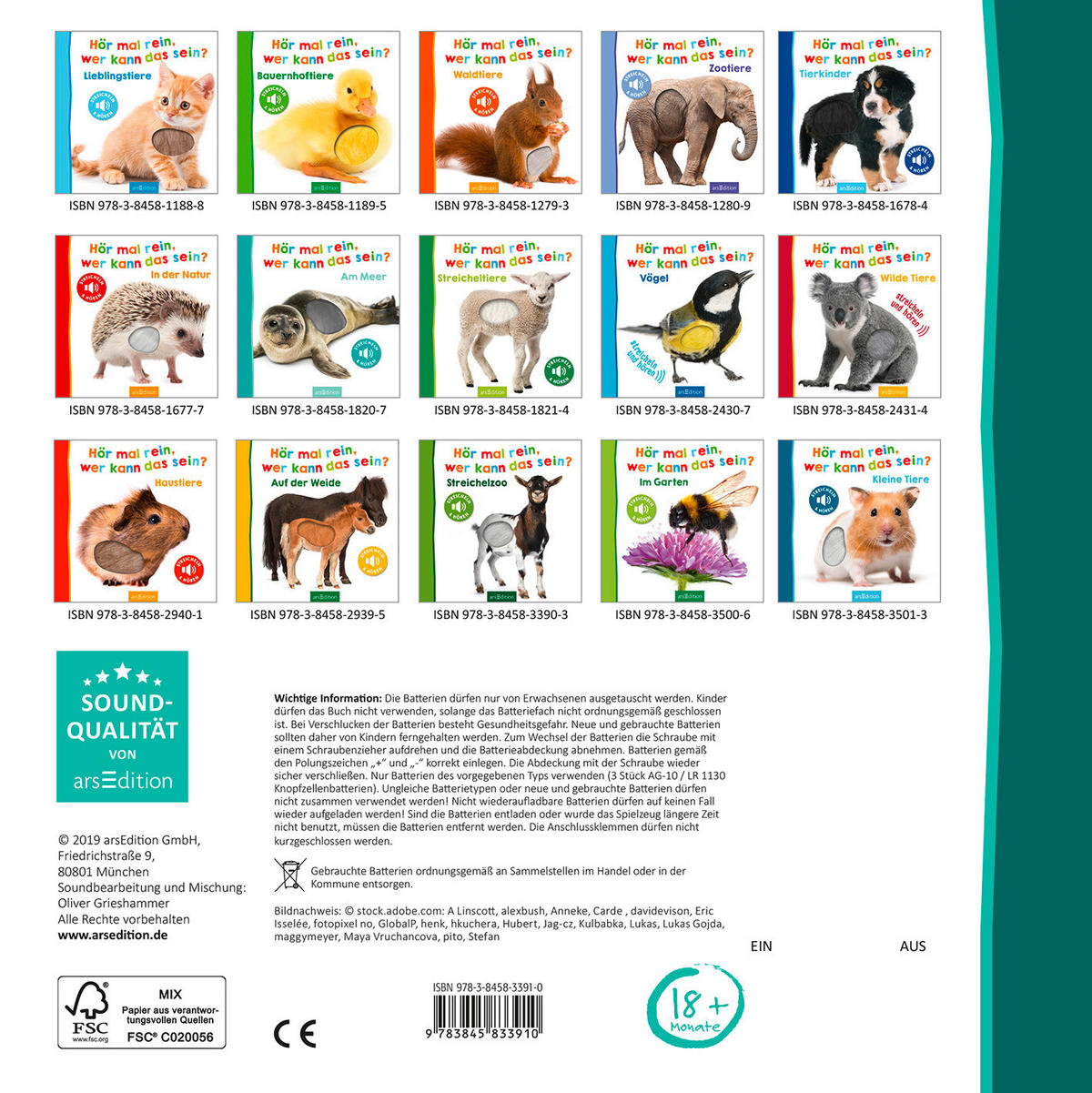 BUCH - Basics (19,60/19,6/1,90cm)