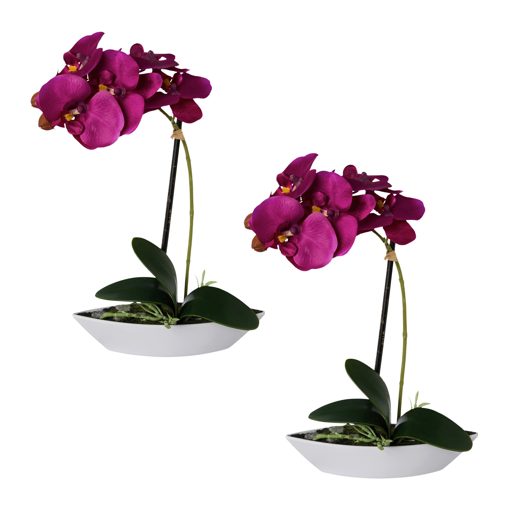ORCHIDEEN-SET 2TLG. Orchidee 30 cm  - Lila/Weiß, Design, Keramik/Kunststoff (30cm)