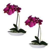 ORCHIDEEN-SET 2TLG. Orchidee 30 cm  - Lila/Weiß, Design, Keramik/Kunststoff (30cm)