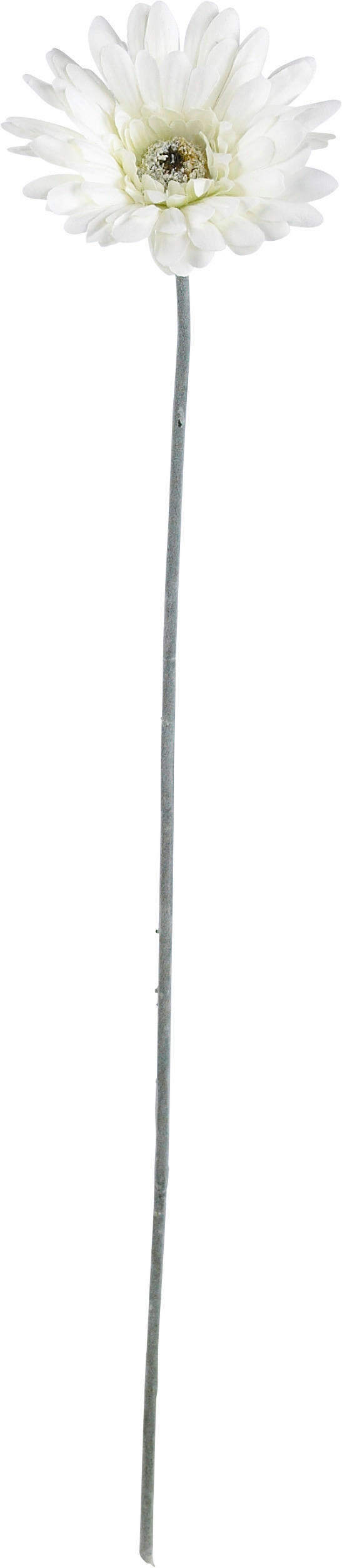 UMELÝ KVET gerbera 56 cm - krémová