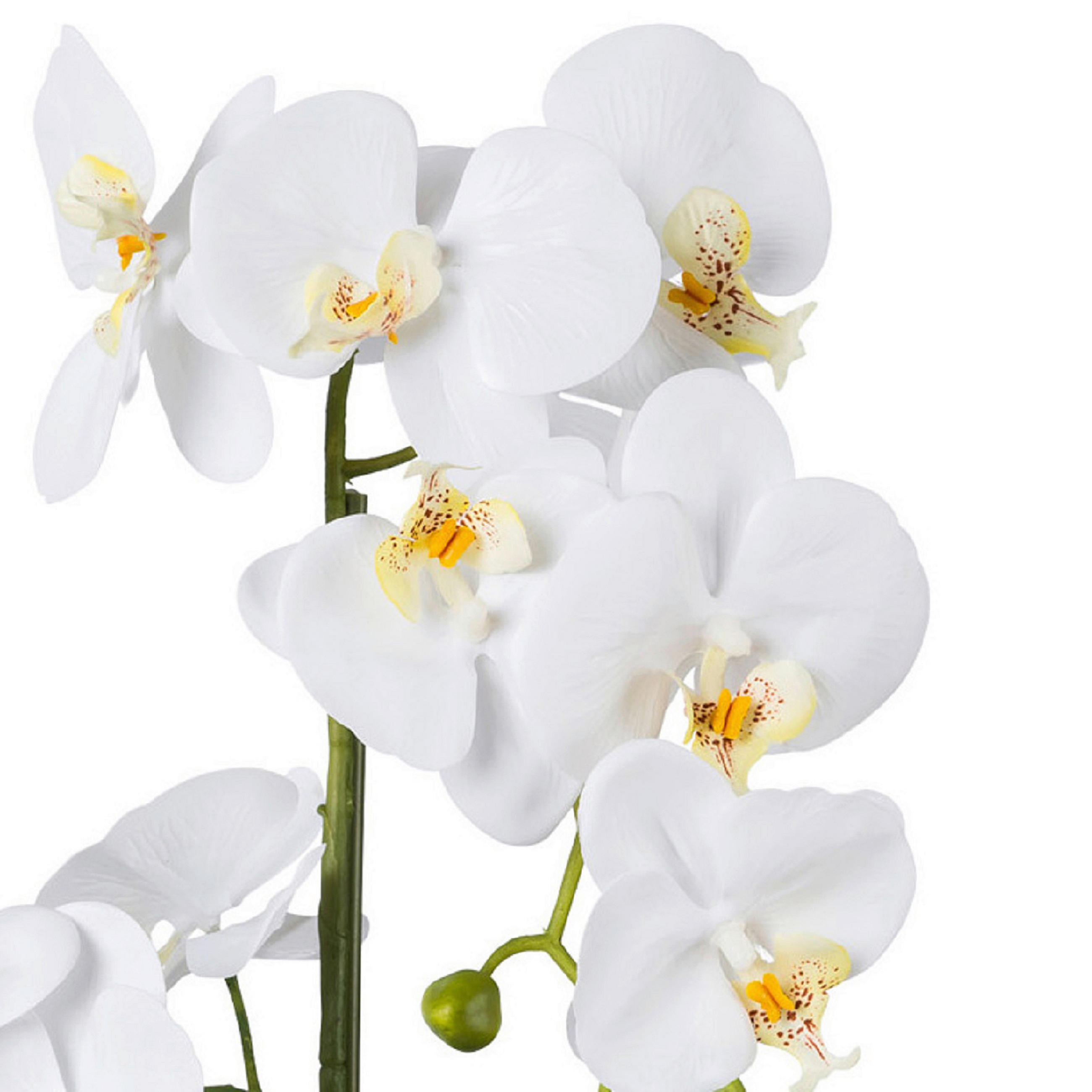 KUNSTPFLANZE Orchidee 52 cm  - Weiß/Grün, Design, Keramik/Kunststoff (52cm) - P & B