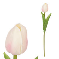 TULIPÁN 35 cm - zelená/krémová, Basics, plast (35cm)