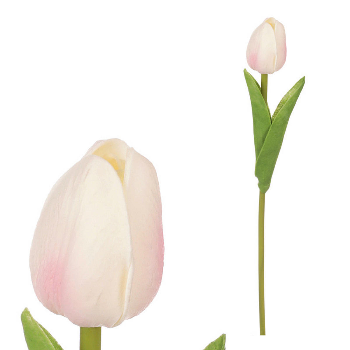 TULIPÁN 35 cm - zelená/krémová, Basics, plast (35cm)